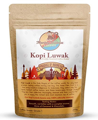 Monkey Business Coffee - Wild Kopi Luwak Coffee Whole Beans - Ethically Sourced - 250 Grams (8.8oz) (Other Weights & Bean Types Available) - Produce of Indonesia
